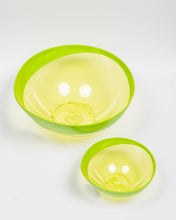 Load image into Gallery viewer, Snips Elite Salad Bowl
