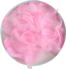 Load image into Gallery viewer, Feather Balloon Set
